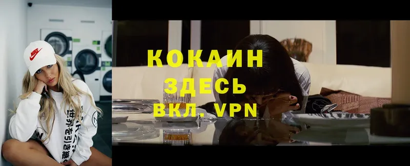 COCAIN VHQ  Петропавловск-Камчатский 