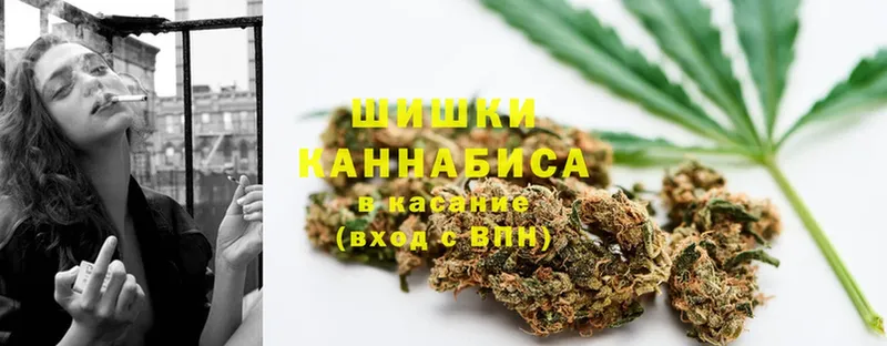 Бошки марихуана OG Kush  купить наркотики сайты  Петропавловск-Камчатский 